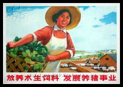 Plakaty Chiny 977