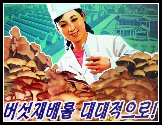 Plakaty Korea Północna 1001