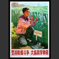 Plakaty Chiny 1284